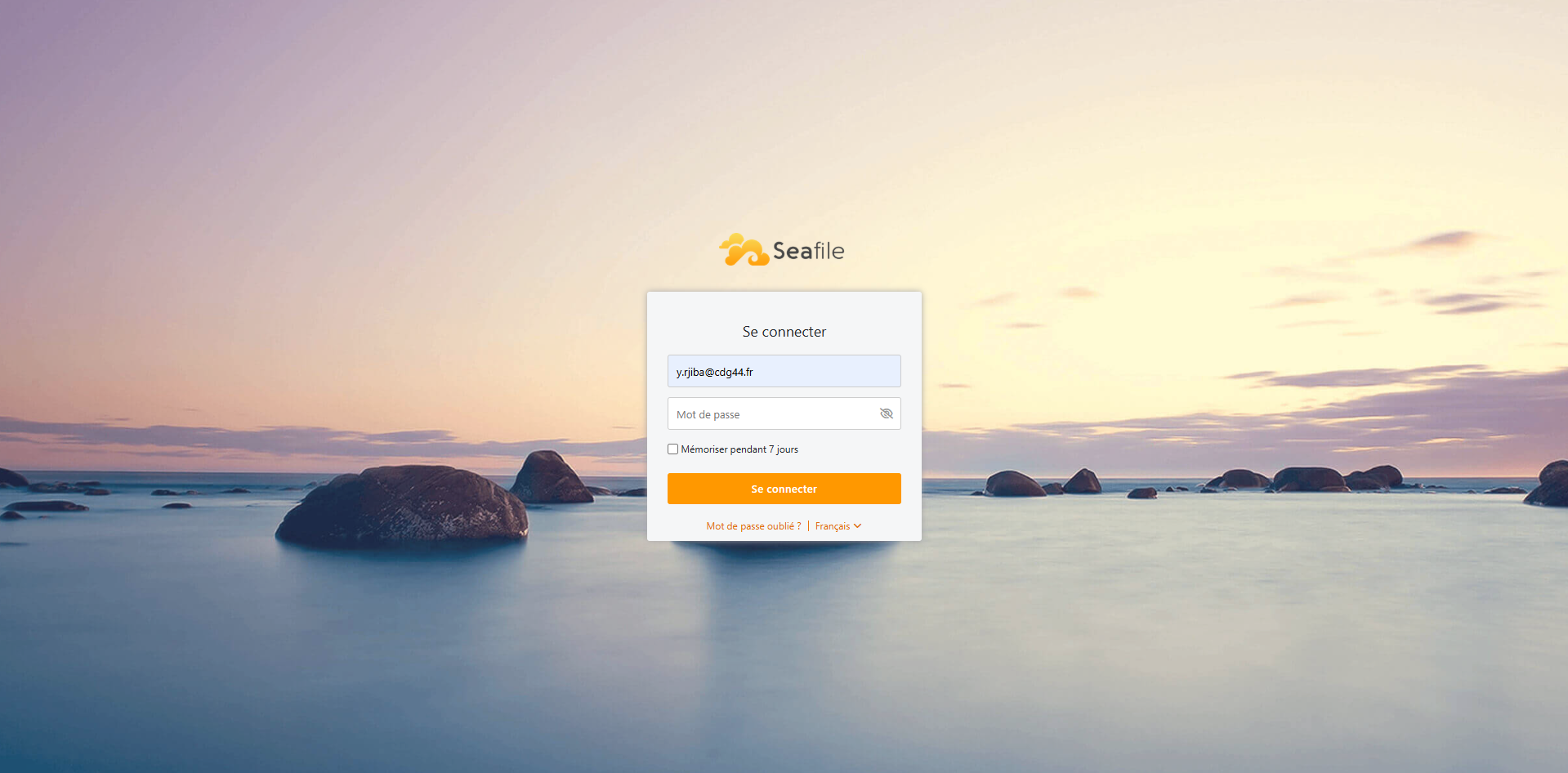 Interface Seafile